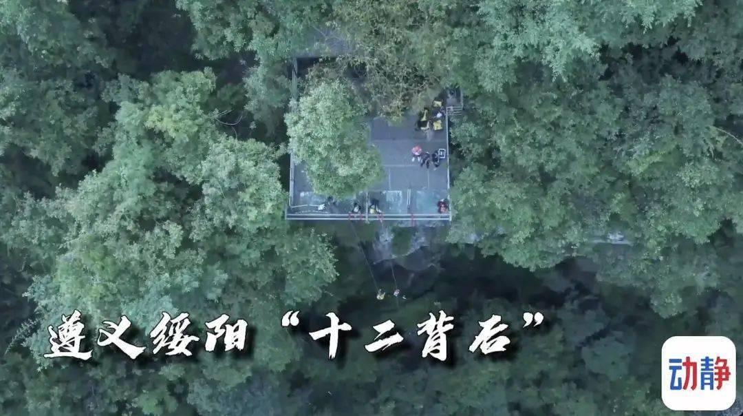 救援年轻女歌手