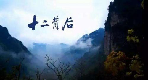 淘气兔救援