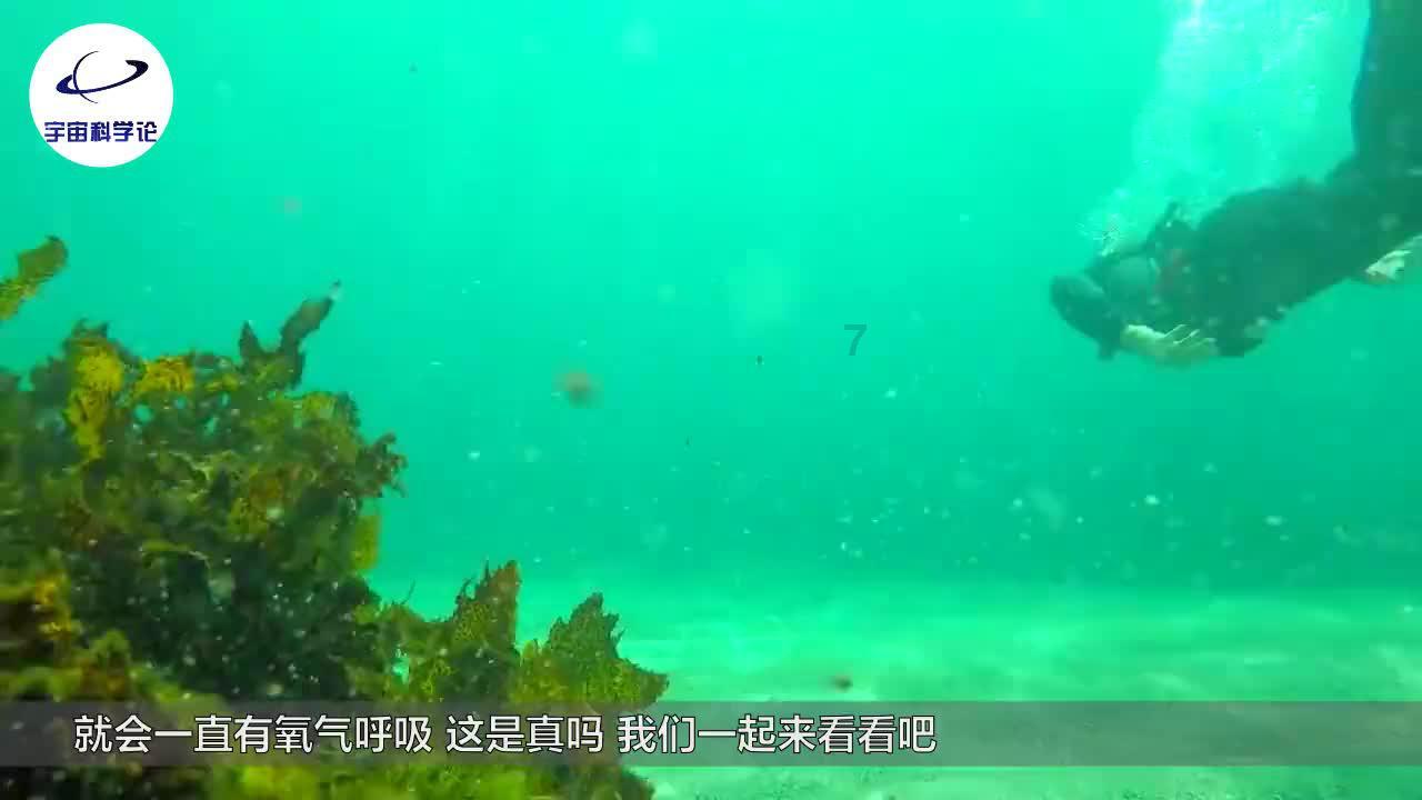 4位相城学生，获国家奖励！