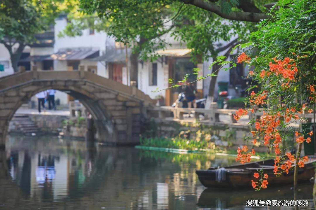 逃离野鸡森林